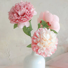 Load image into Gallery viewer, Craft Maker Paper Flowers Kit