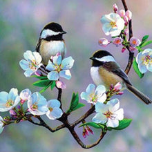 Load image into Gallery viewer, Diamond Art Kit -Birds 30 x 30cm - Creative Arts & Crafts