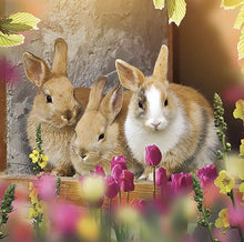 Load image into Gallery viewer, Diamond Art Kit -Bunny 30 x 30cm - Creative Arts & Crafts