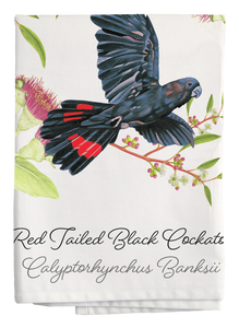 Australian Geographic Botanical Tea Towel - Red Tailed Black Cockatoo