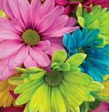 Load image into Gallery viewer, Diamond Art Kit - Gerbras 30 x 30cm - Full Drill Creative Arts &amp; Crafts
