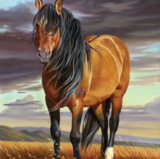 Diamond Art Kit -Horse 30 x 30cm - Creative Arts & Crafts