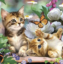 Load image into Gallery viewer, Diamond Art Kit - Kittens 30 x 40cm - Creative Arts &amp; Crafts
