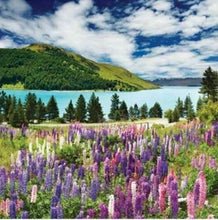 Load image into Gallery viewer, Diamond Art Kit - Meadow 30 x 30cm - Full Drill Creative Arts &amp; Crafts

